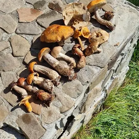 крайня хата *