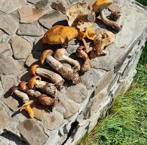 крайня хата *